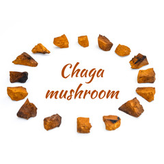 chaga mushroom. large sliced pieces of birch tree chaga fungus arranged in a circle are isolated on...
