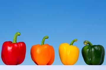 The four colors of Pepper Bells: red, orange yellow and green, complementary colors, standing over a contrasting blue color from the sky as background.