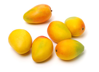 Mango on a white background