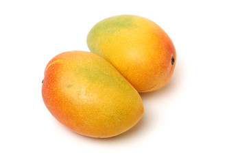 Mango on a white background