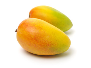 Mango on a white background