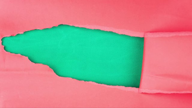 Man hand tears a paper and reveal green background