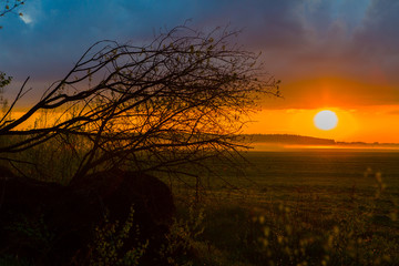 Sunset on the field. Beautiful sunset landscape with large field and a forest on background