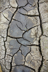 Land with dry and cracked ground. Desert
