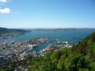 view of the bay from the top of the hill