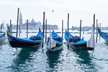 Fresh morning view on empty gondolas in the lagoon of Venice, Italy