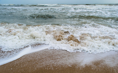 coral and sea-shell at sea beach of somnath temple of somnath Gujarat India
