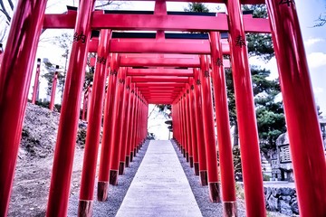 Traditional Japanese red Torii gates at the entrance of an Inari Shinto shrine in Hokkaido.