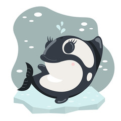 Cute kawaii arctic polar baby orca on ice as vector illustration. Concept for children book, nursery, Christmas or New year party, baby shower