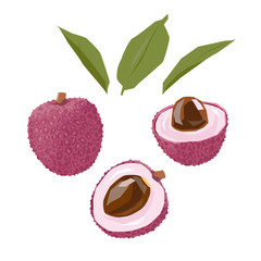 Lychee. Set of vector illustrations.Isolated on a white background.