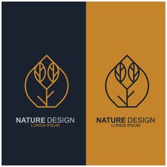 Leaf design logo Template