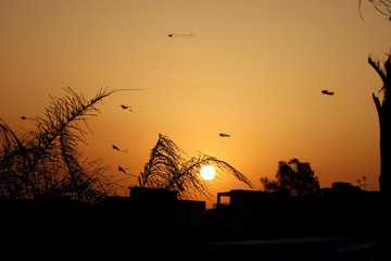 Tramonto con aquiloni