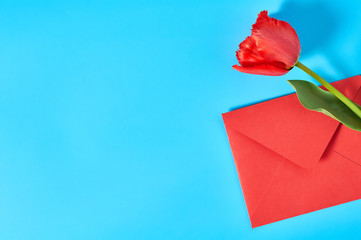 Beautiful red tulip near closed envelope on blue background. Concept of celebrating valentine's, mother day or easter