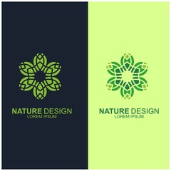 Leaf design logo Template