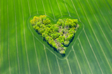 Aerial view of forest heart in the green fields. Natural Love Valentine Symbol.