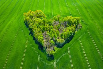 Aerial view of forest heart in the green fields. Natural Love Valentine Symbol.