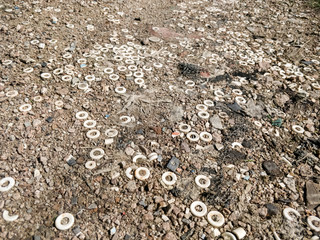 tiny white plastic circles embedded into a dirt road
