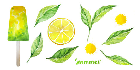 Mint leaves, lemon slice, yellow juice drops, yellow green popsicle. Isolated ingredients for healthy homemade lemon mint ice cream. Fruit ice pops. Summer sweets. Warercolor illustration.