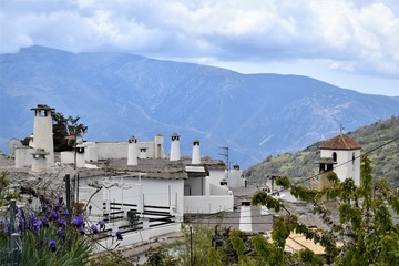 Obraz premium カピレイラ