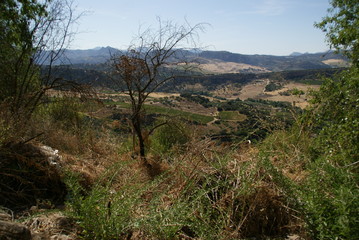 Ronda en Andalousie en Espagne