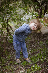 little boy in a flowering garden in spring