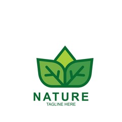 Leaf design logo Template