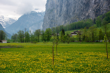 Campos da Suiça Lauterbrunnen