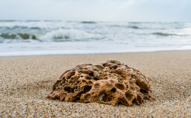coral and sea-shell at sea beach of somnath temple of somnath Gujarat India
