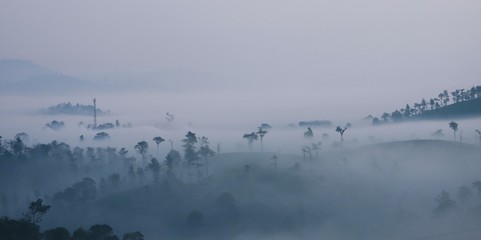 Mist over the mountains @ Nilgiris