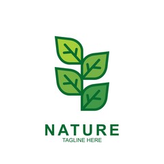Leaf design logo Template
