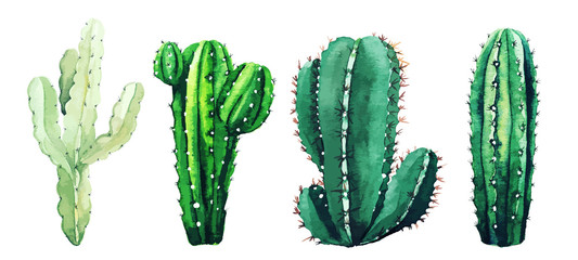 Watercolor set of cactus plants and succulents