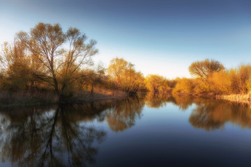 Fototapeta premium Landscape with a lake and blue sky and trees that are reflected in the water