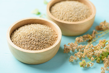 Organic brown quinoa seed in a wooden bowl and quinoa plant on pastel color background, healthy...
