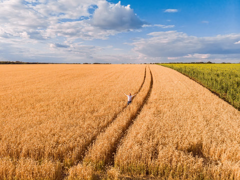 Aerial view of farmer standing in golden ripe wheat field and observing crops. Image is taken from drone.