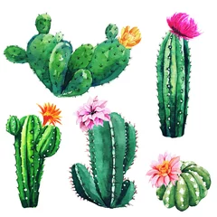 Foto op Canvas Aquarel set cactusplanten en vetplanten © nurofina