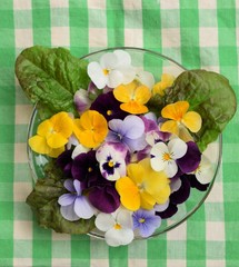 エディブルフラワーのサラダ