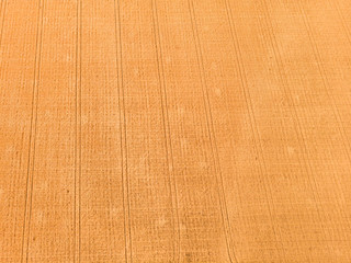 Aerial view of wheat field with tractor tracks. Farm from drone view.