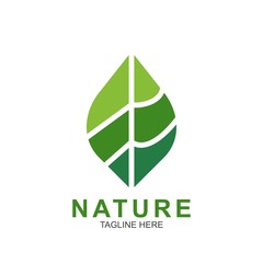 Leaf design logo Template