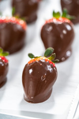 Chocolate dipped strawberries