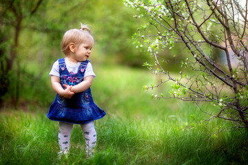 girl child walks in the garden in spring, cherry blossoms, blooming, may