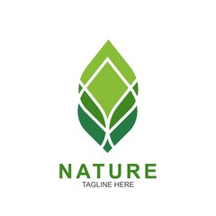 Leaf design logo Template