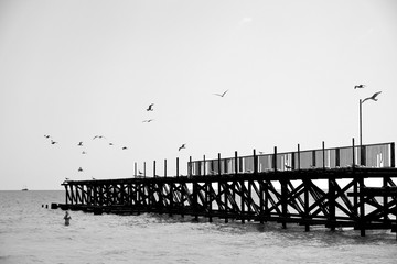 pier on the beach Bulgaria