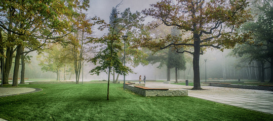 spotkanie w parku rano jesienią we mgle - obrazy, fototapety, plakaty