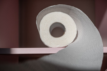 Toilet paper spiral from the roll on pink shelf closeup with shallow focus