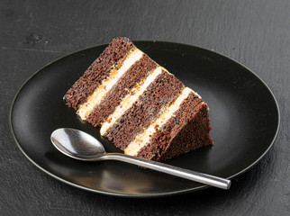 chocolate layer cake piece