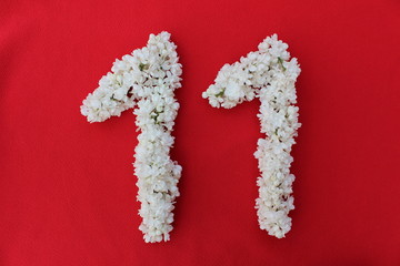 The number 11 is written in white lilac flowers on a red background. The number eleven is written in fresh flowers, isolated on red. Arabic numeral lined with flowers.