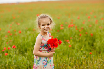 Naklejka na ściany i meble Beautiful child picking flowers in poppy field