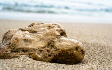 coral and sea-shell at sea beach of somnath temple of somnath Gujarat India
