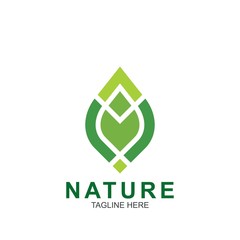 Leaf design logo Template