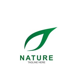 Leaf design logo Template